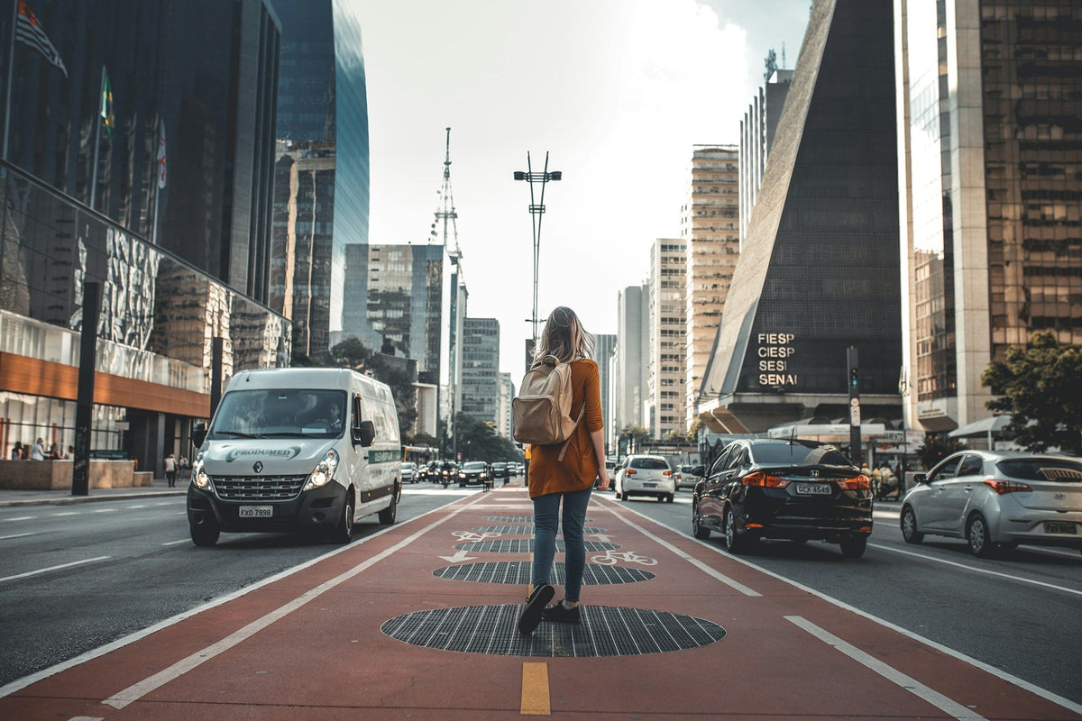 Guia Pipizito para Viagens: O Que Levar e Como Usar