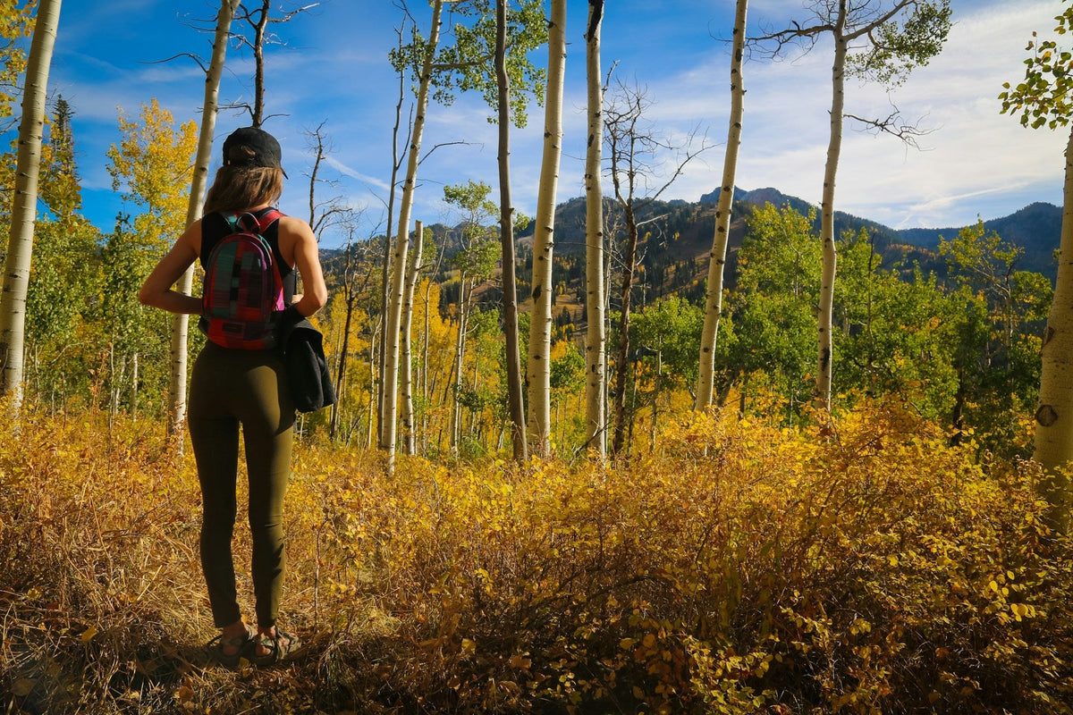 Como Fazer Xixi Durante Trilhas e Camping: Guia Completo para Mulheres